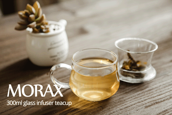 Glass Tea Mug with Infuser and Lid 300ml - Morax