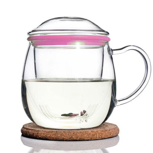 Glass Tea Mug with Infuser and Lid 385ml - Zeo