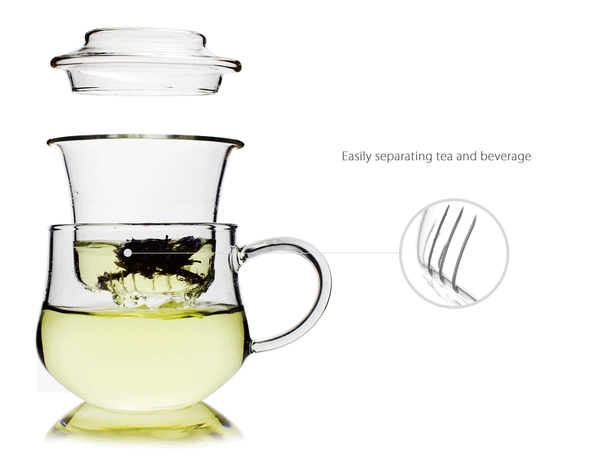 Glass Tea Mug with Infuser and Lid 300ml - Morax