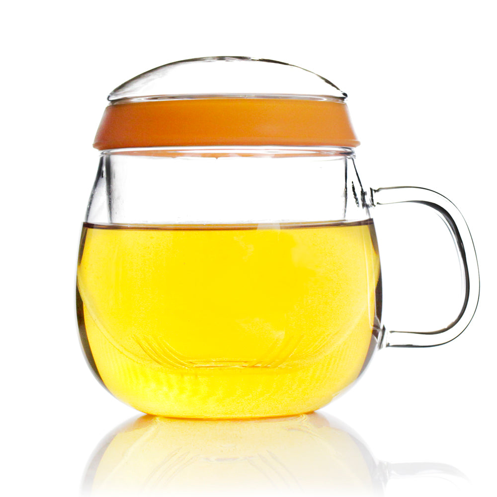 Glass Tea Mug with Infuser and Lid 500ml - Valentine